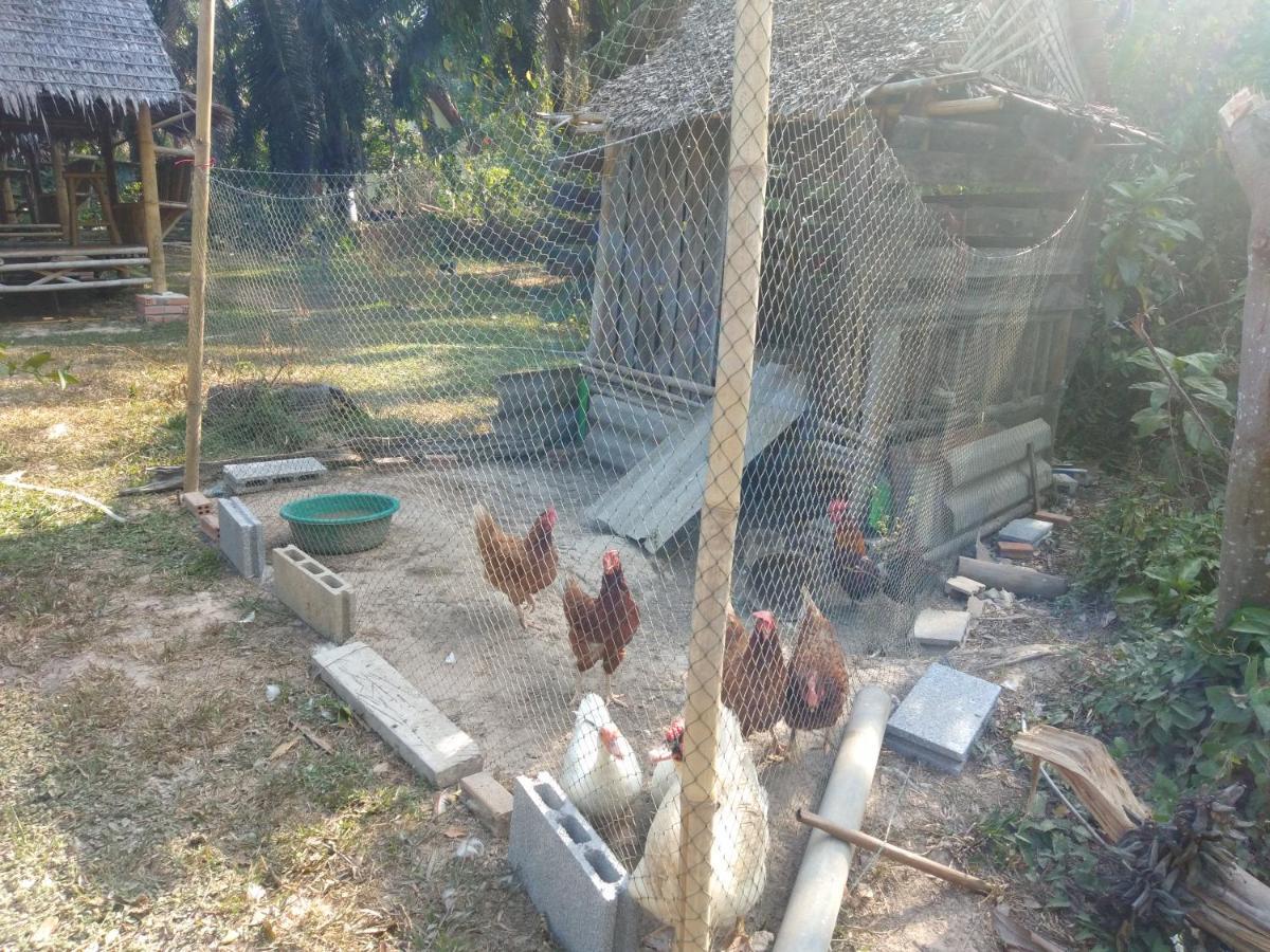 Meechok Organic Home Ao Nang Εξωτερικό φωτογραφία