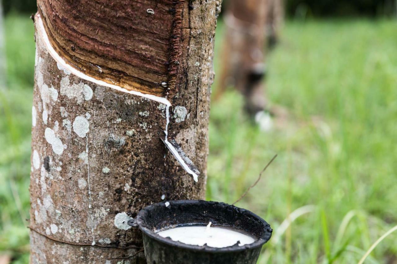 Meechok Organic Home Ao Nang Εξωτερικό φωτογραφία